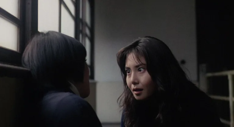 Ring (1998): The Cursed of the VHS Horror