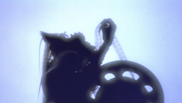 Gremlins 2: The New Batch (1990): Corporate Satire and Cartoon Anarchy