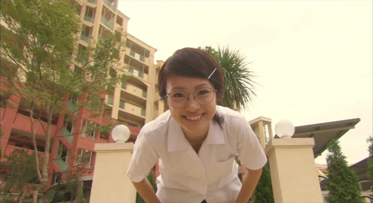 Install (2004): Early internet subversions