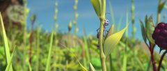A-Bugs-Life-1998-stills-02