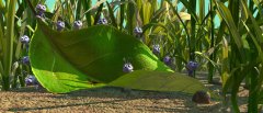 A-Bugs-Life-1998-stills-23