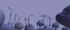 A-Bugs-Life-1998-stills-44