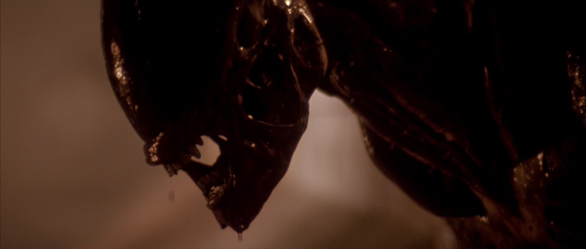 Alien 3 (1992) - Movie Stills and Screencaps at Cinematic Freeze