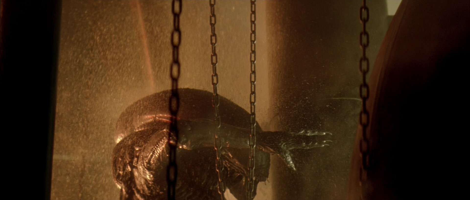 Alien 3 (1992) - Movie Stills and Screencaps at Cinematic Freeze