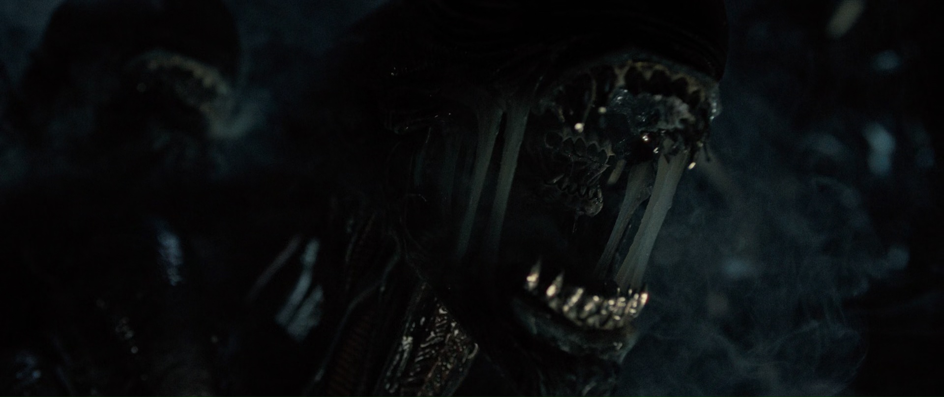 Alien: Romulus (2024) - Movie Stills and Screencaps at Cinematic Freeze