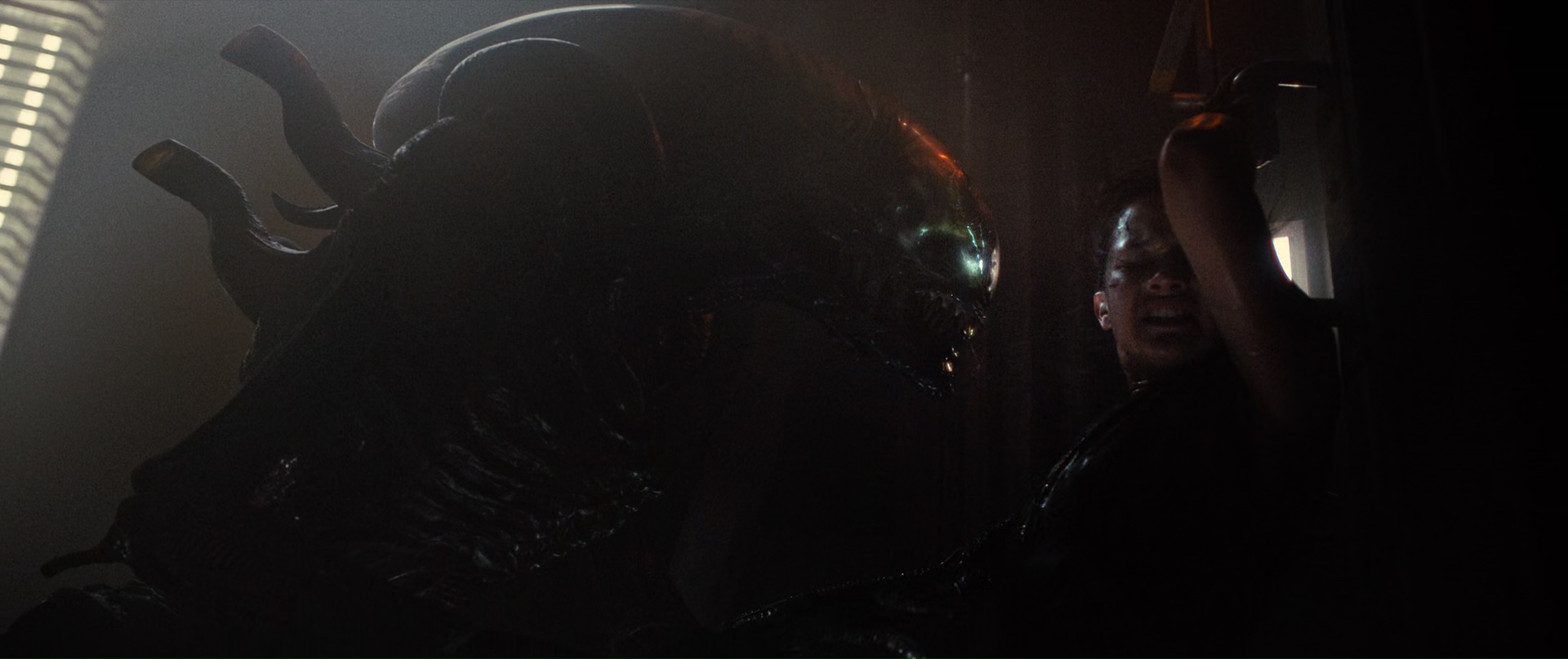 Alien: Romulus (2024) - Movie Stills and Screencaps at Cinematic Freeze