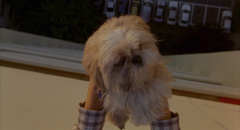 Barking-Dogs-Never-Bite-2000-stills-05