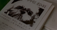 Barking-Dogs-Never-Bite-2000-stills-12