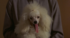 Barking-Dogs-Never-Bite-2000-stills-34