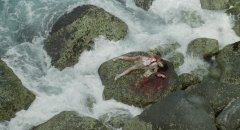 Battle-Royale-2000-stills-40