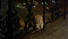 Breakfast-at-Tiffanys-1961-stills-51