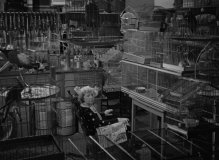 Cat-People-1942-stills-10