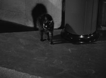 Cat-People-1942-stills-39