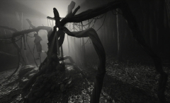 Cobweb-2023-stills-35