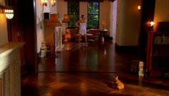 Cutie-Honey-2004-stills-02