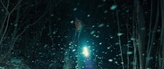 Decition-to-Leave-2022-stills-057