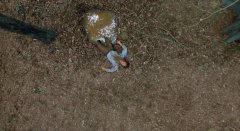 Evil-Dead-II-1987-stills-08