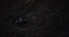 Exhuma-2024-stills-35