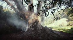 Exhuma-2024-stills-49