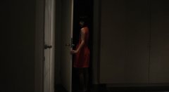 Greatful-Dead-2013-stills-04