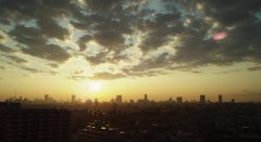 Greatful-Dead-2013-stills-20