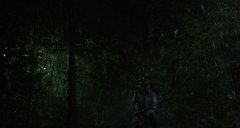 Greatful-Dead-2013-stills-50