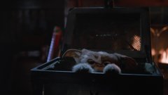 Gremlins-1984-stills-06