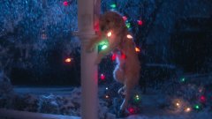 Gremlins-1984-stills-15