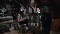 Gremlins-1984-stills-22