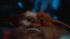Gremlins-1984-stills-50