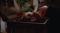 Gremlins-1984-stills-54
