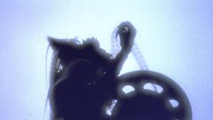 Gremlins-2-The-New-Batch-1990-stills-37