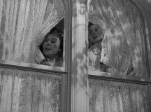 Harvey-1950-stills-04