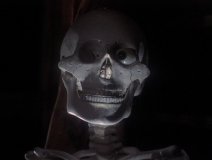 House-1977-stills-19