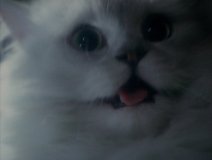 House-1977-stills-52