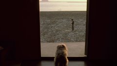 1_Il-Mare-2000-stills-08