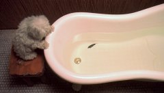 1_Il-Mare-2000-stills-38