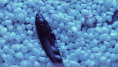 1_Il-Mare-2000-stills-49