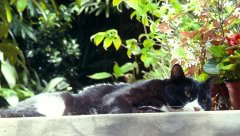 Im-A-Cyborg-But-Thats-OK-2006-stills-21