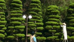 Im-A-Cyborg-But-Thats-OK-2006-stills-22