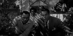 Invasion-of-the-Body-Snatchers-1956-stills-038
