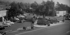 Invasion-of-the-Body-Snatchers-1956-stills-052