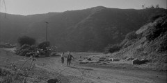 Invasion-of-the-Body-Snatchers-1956-stills-061