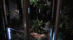 Invasion-of-the-Body-Snatchers-1978-stills-27