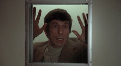 Invasion-of-the-Body-Snatchers-1978-stills-46