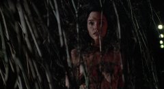 Invasion-of-the-Body-Snatchers-1978-stills-50