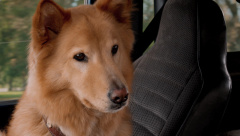 John-Dies-at-the-End-2012-stills-31