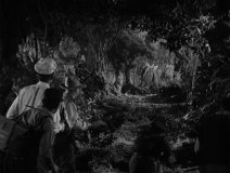 King-Kong-1933-stills-24