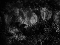King-Kong-1933-stills-28