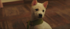 Little-Forest-2018-Stills-20